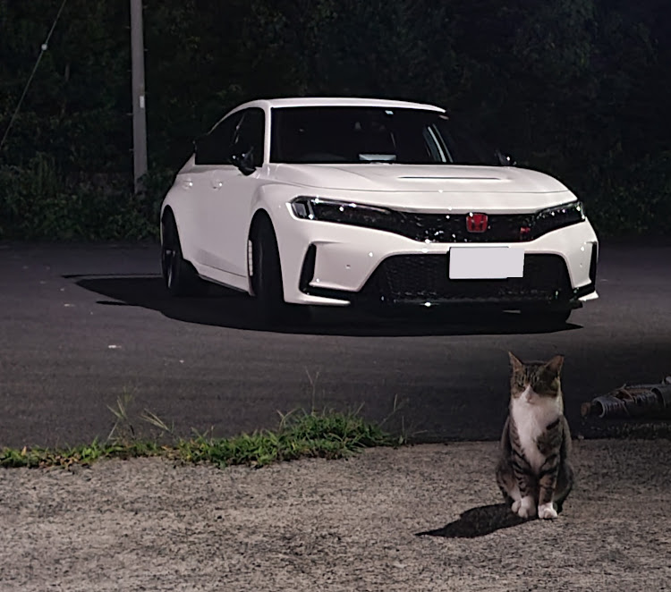 シビックタイプRのシビックタイプR・ドライブに関するカスタム事例の投稿画像1枚目