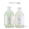 Combo Nước Tẩy Trang Rau Má Và Diếp Cá Herbario 300Ml + Sữa Rửa Mặt Rau Má Và Diếp Cá Herbario 200Ml