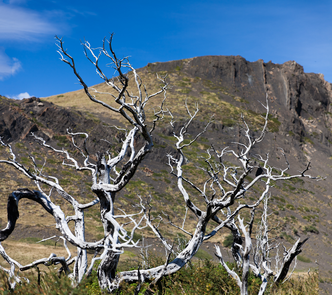 Патагония: Carretera Austral - Фицрой - Торрес-дель-Пайне. Треккинг, фото.