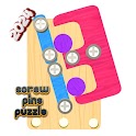 Screw Pins Puzzle-Nut and Bolt