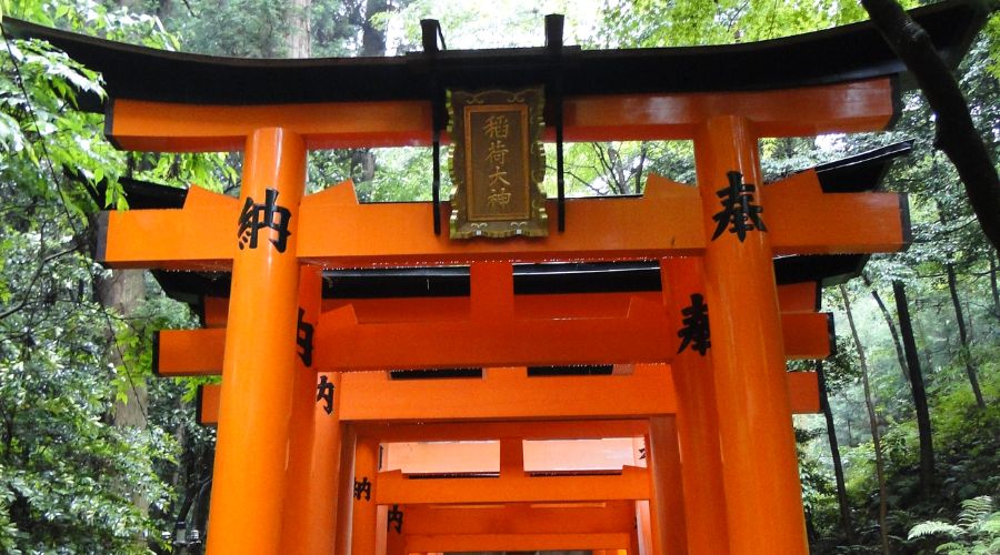 Kyoto's Fushimi Inari, | Tripreviewhub.com