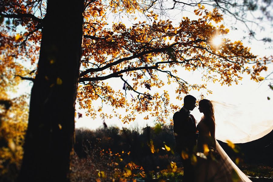 Fotografo di matrimoni Taras Terleckiy (jyjuk). Foto del 9 dicembre 2015