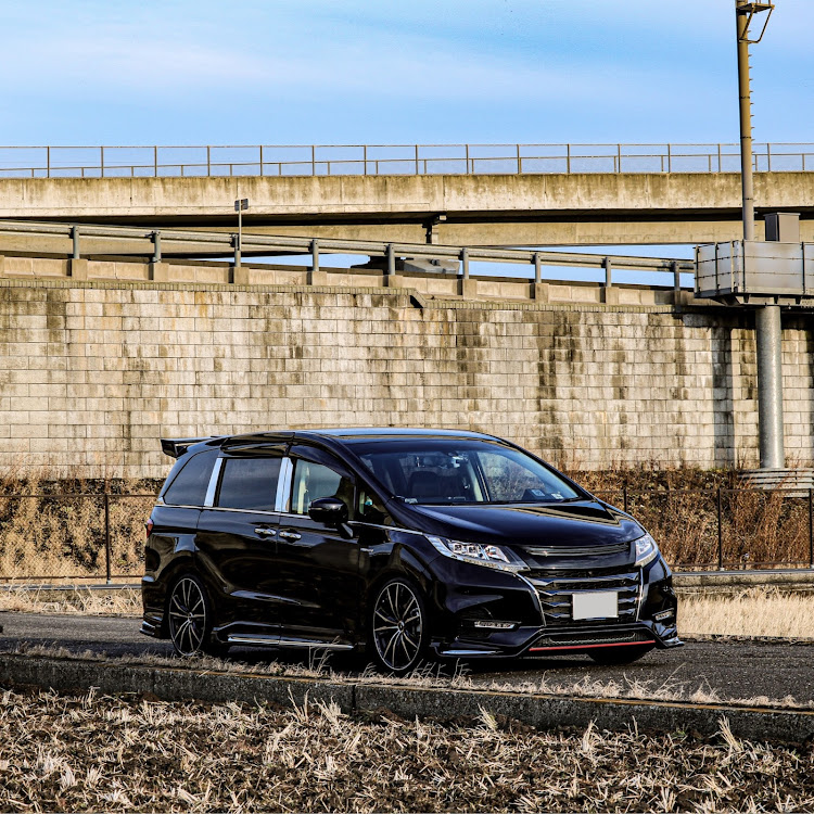 オデッセイの毎日投稿継続中・地元巡り・圏央道高架下の田んぼ・一眼望遠レンズ使用・フロント中心で二部構成にしますに関するカスタム事例の投稿画像7枚目