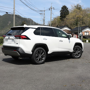 RAV4 AXAH54