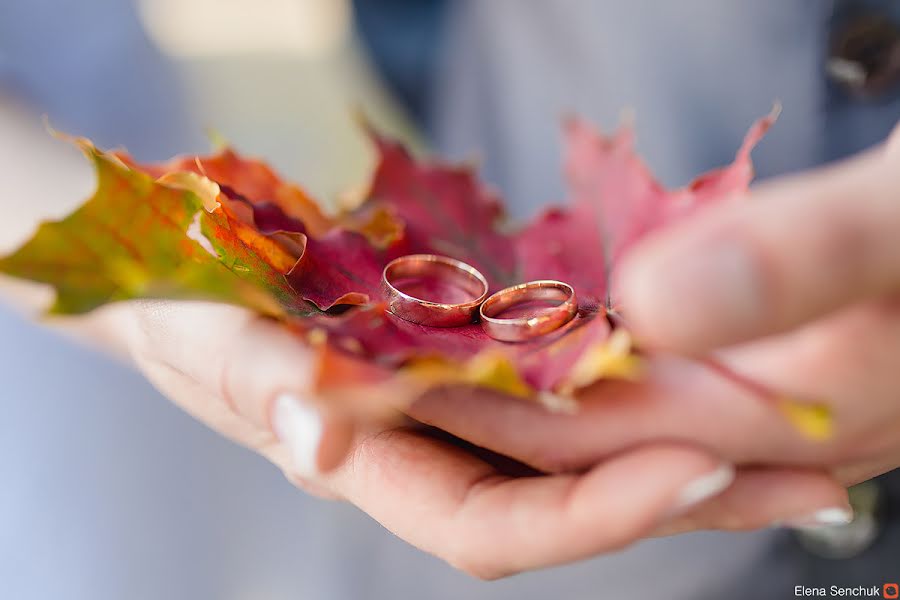 Wedding photographer Elena Senchuk (baroona). Photo of 22 September 2015