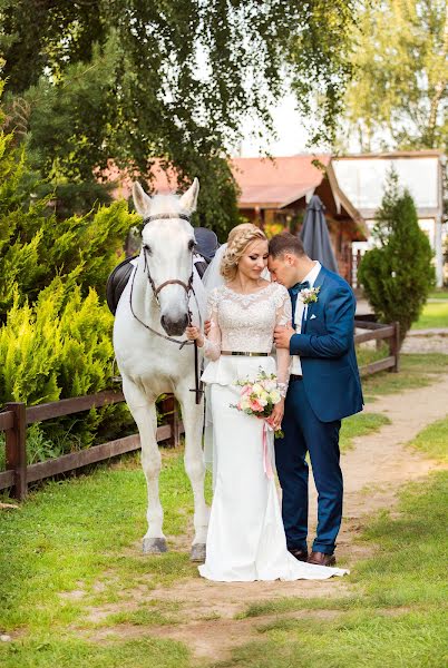 Hochzeitsfotograf Galina Zhikina (seta88). Foto vom 16. August 2017