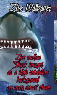 Revision Touch the Shark  Live  Wallpaper  apk  cazooz