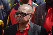 Transport minister Blade Nzimande. 