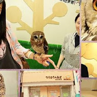 OWL Coffee 貓頭鷹咖啡