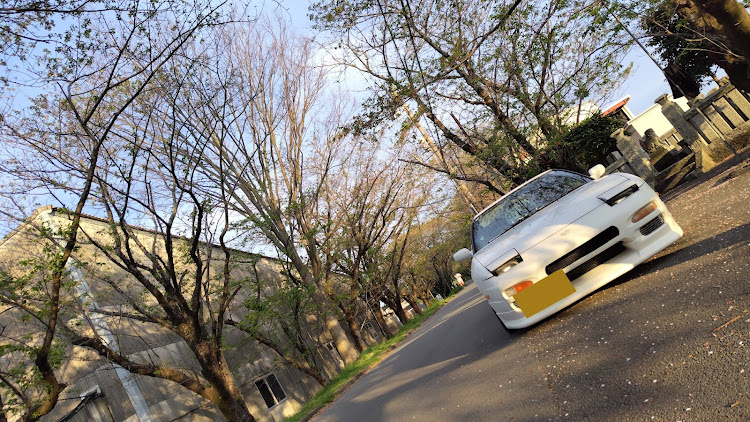 180SXのネタなし投稿・家飯ﾃﾛに関するカスタム事例の投稿画像2枚目