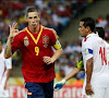 Fernando Torres, de aanvalsleider van La Roja