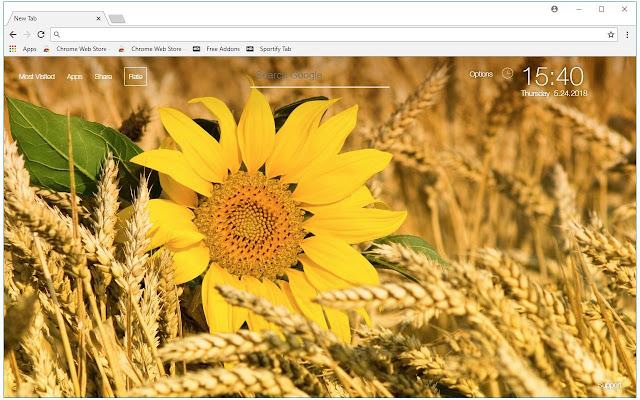 Photography Sunflower Wallpaper Laptop