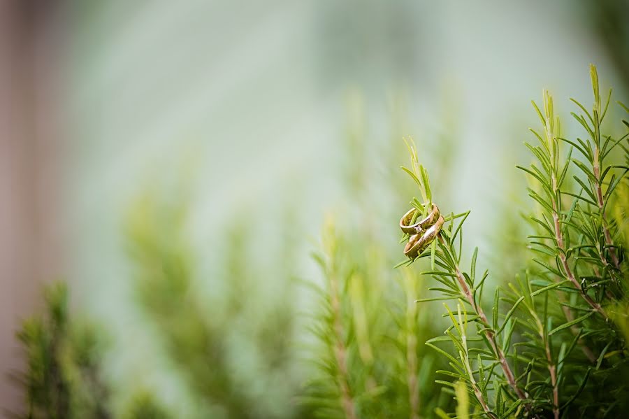 Bröllopsfotograf Marco Lorenzi (lorenzi). Foto av 5 augusti 2015