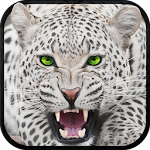 Cover Image of ดาวน์โหลด Wild Snow Leopard Survival Sim 1.2 APK