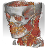 DroidRender - 3D DICOM viewer icon