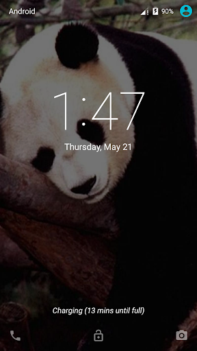 Cute Panda Live Wallpaper Free