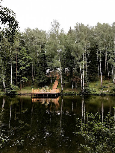 Лесная