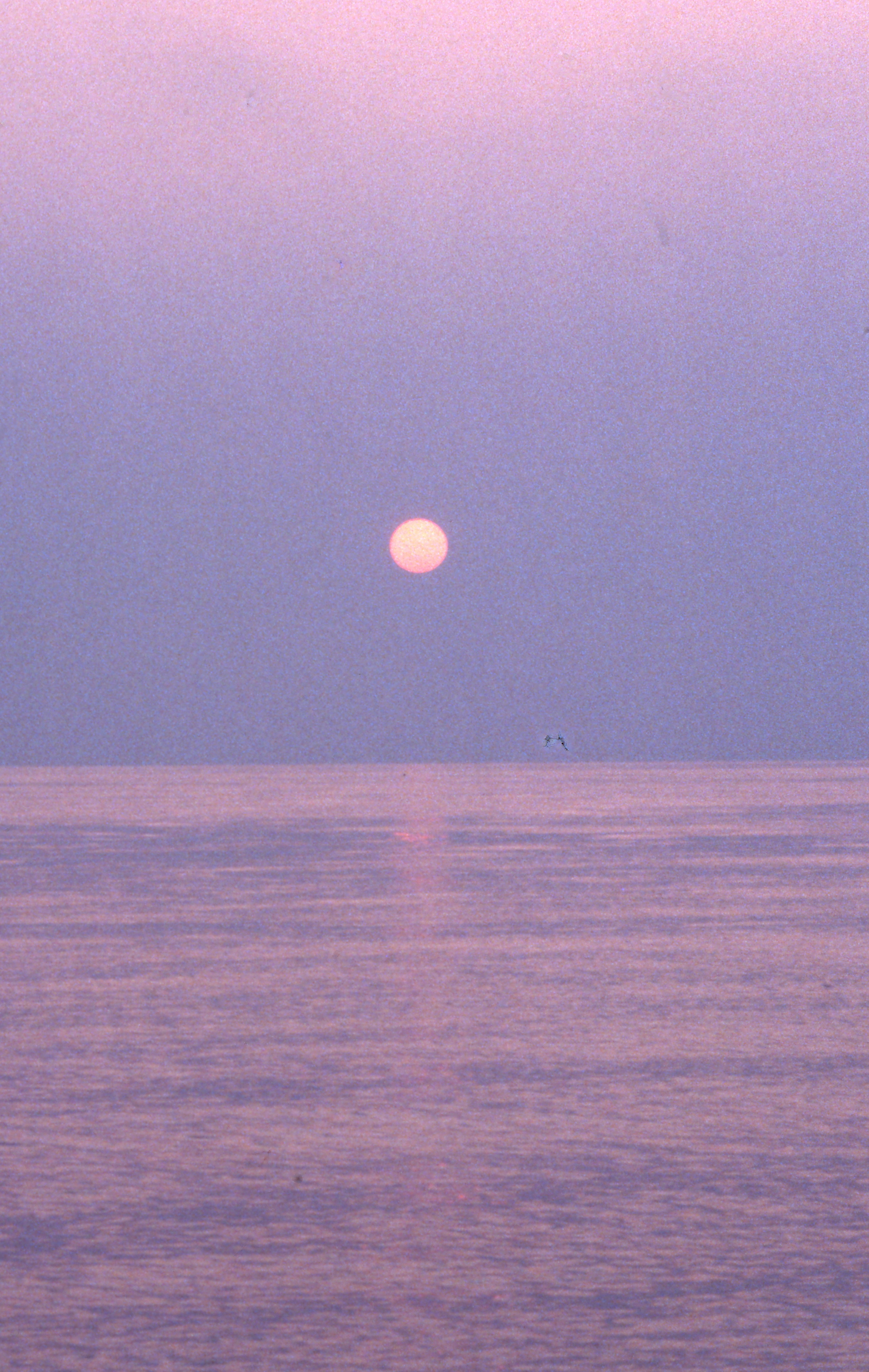 Tramonto sul golfo di Triestedav San Giusto con teleobbiettivo di jovi55