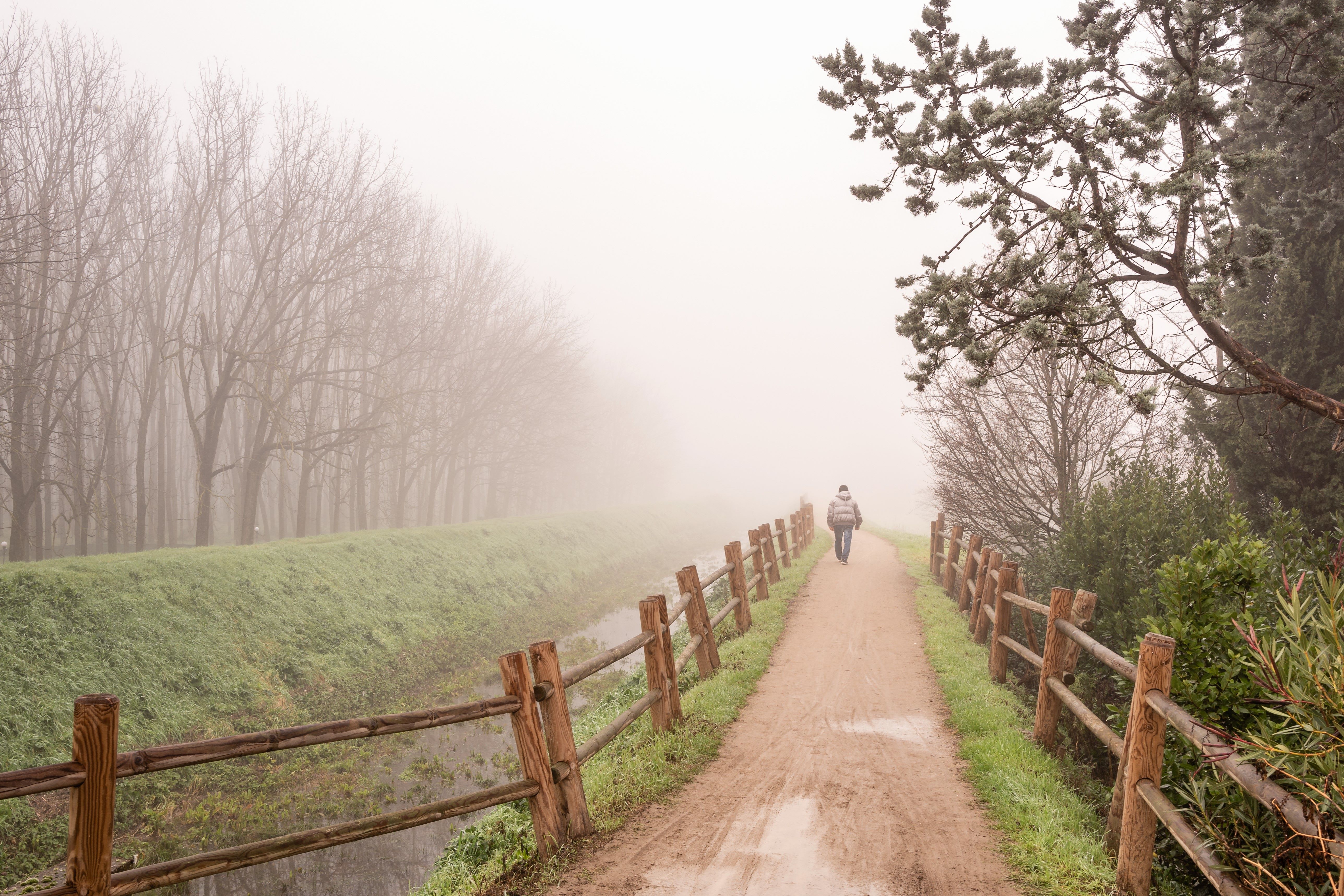 Nebbia alla cascina di Ginko