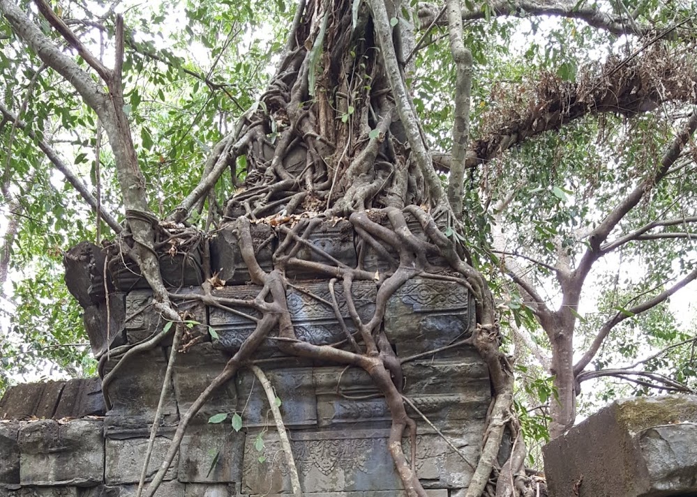 Exploring the jungle temple of Beng Mealea