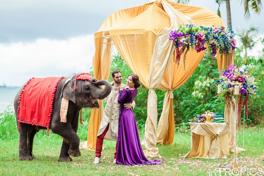 Fotografo di matrimoni Alesya Popova (intropics). Foto del 15 giugno 2015