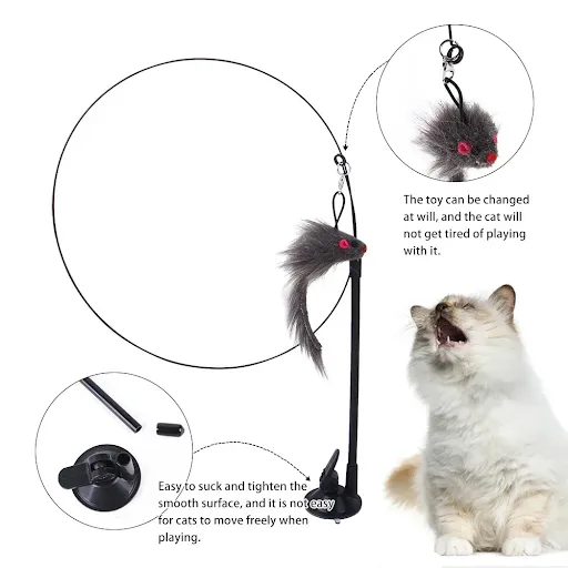 images slider number - 5