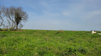 terrain à Sainte-Soulle (17)