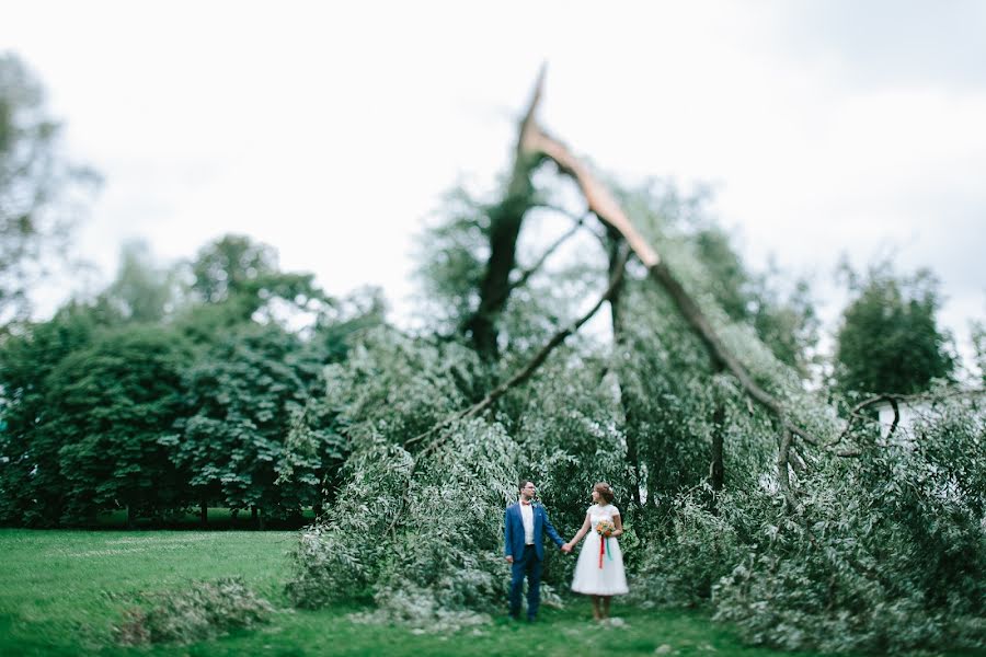 Photographe de mariage Vera Scherbakova (vera007). Photo du 13 septembre 2016