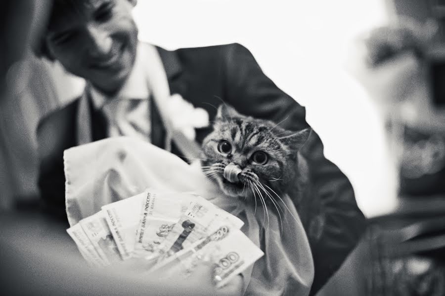 Esküvői fotós Dmitriy Karpov (dimkarpov). Készítés ideje: 2015 szeptember 10.