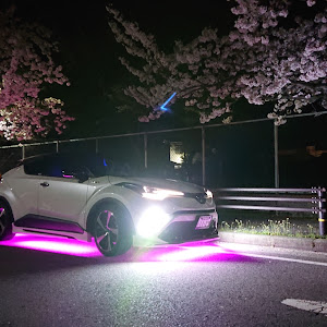 C-HR ZYX10