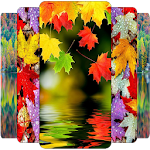 Cover Image of डाउनलोड autumn wallpaper 1.1 APK