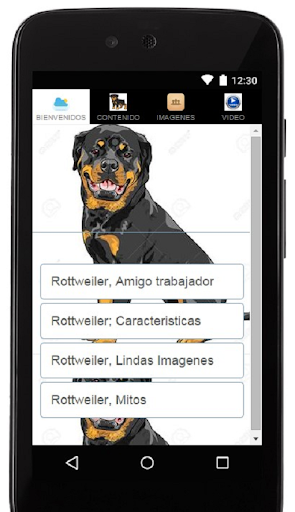 Rottweiler