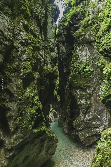 Eslovenia en familia, un pequeño bocado en 16 días - Blogs de Eslovenia - LA GARGANTA TOLMINSKA Y LA CASCADA BOKA (4)