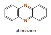 Structural isomerism