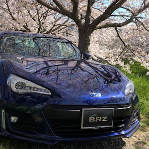 BRZ ZC6