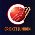 Cricket Junoon - IPL Live 2024
