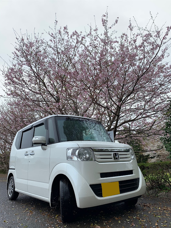 Nボックスの雨の日・桜とコラボ・two-k・ちびちゃんと桜・いつメンに関するカスタム事例の投稿画像2枚目