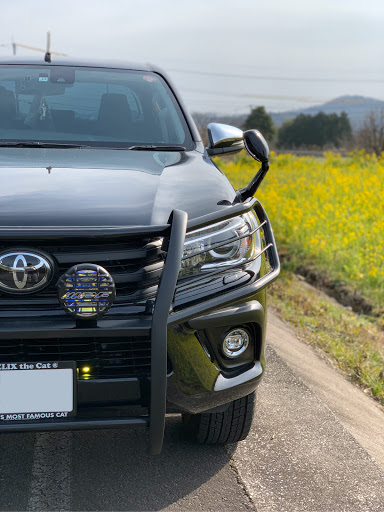 ハイラックス Gun125の愛車紹介 菜の花 花粉症 海 釣れないに関するカスタム メンテナンスの投稿画像 車のカスタム情報はcartune