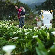 【竹子湖】苗榜花園餐廳