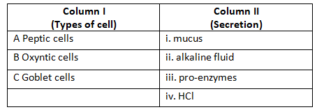 Physiology Of Digestive System