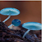 Blue mushroom wallpaper のアイテムロゴ画像