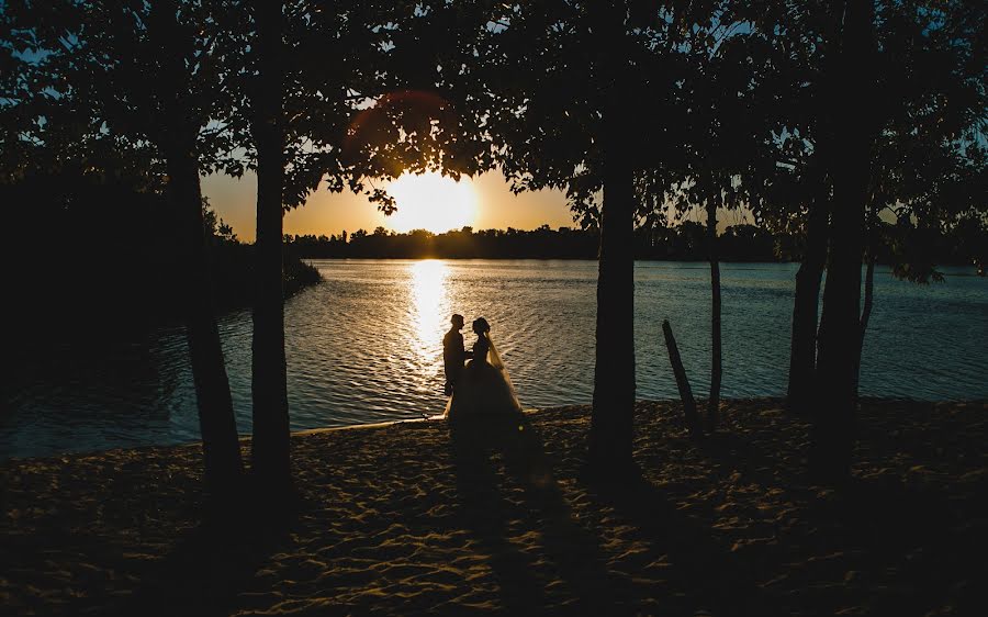 Fotógrafo de bodas Dmitriy Oleynik (dmitriyoleinik). Foto del 11 de noviembre 2017