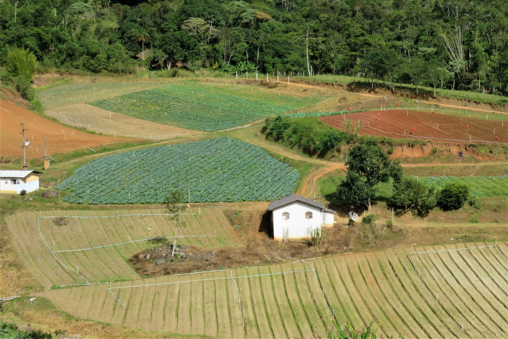 Fazenda / Sítio à venda em Stucky, Nova Friburgo - RJ - Foto 2