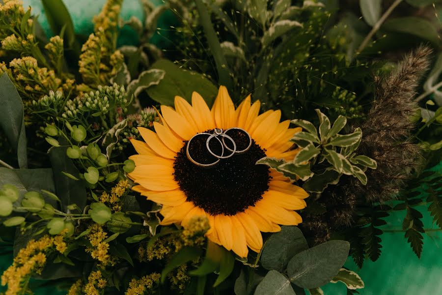 Fotógrafo de casamento Tatyana Pilyavec (tanyapilyavets). Foto de 5 de dezembro 2019