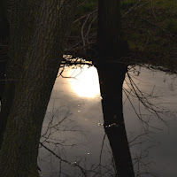 riflessi dall'alto di 