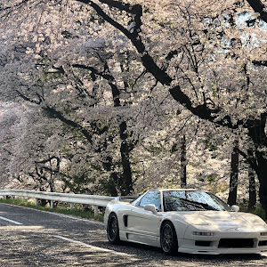 NSX