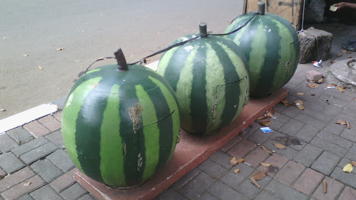 Trio Semangka Raksasa