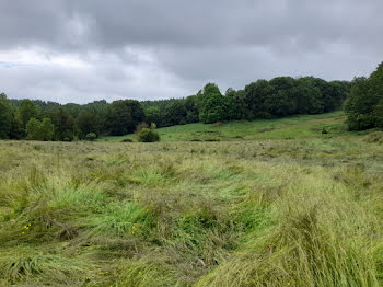 terrain à Boisseuil (87)