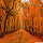 Autumn Wallpaper