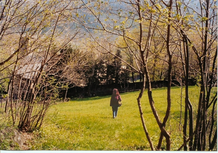 Voglio silenzio di Fotocop